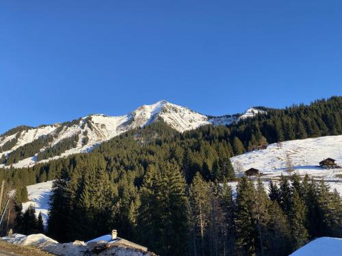 ein schneebedeckter Berg mit einem Haus im Vordergrund in der Unterkunft L'Auberge de la Comballaz in La Comballaz