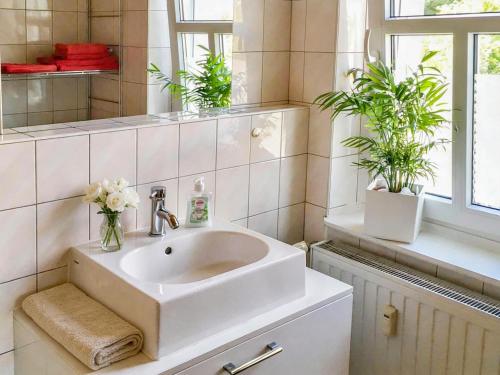 La salle de bains est pourvue d'un lavabo et de 2 plantes en pot. dans l'établissement Villa Charlotte, à Bad Suderode