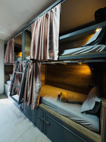 a room with bunk beds with a dog laying on the floor at Leveli Coliving & Hostel Oaxaca in Oaxaca City