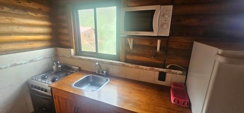 Køkken eller tekøkken på Cabañas BALCONES DEL PORTEZUELO - Mendoza