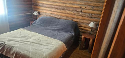 En eller flere senge i et værelse på Cabañas BALCONES DEL PORTEZUELO - Mendoza