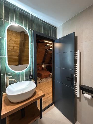 a bathroom with a sink and a mirror at Terra Ruj in Mokra Gora