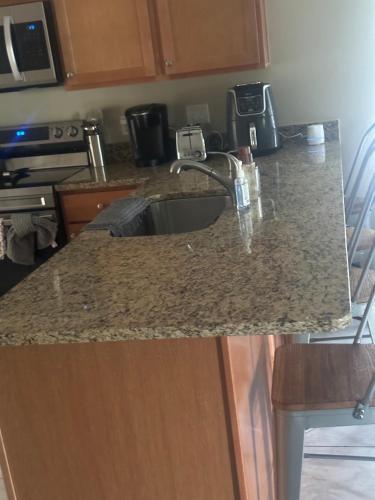 Kuchyň nebo kuchyňský kout v ubytování Maxx Maximum Comfort LLC