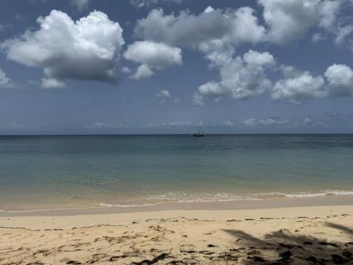 Natuurlandschap vlak bij het appartement