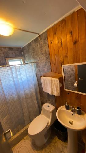 Cabaña Arte Patagonia في بويوهو: حمام مع مرحاض ومغسلة