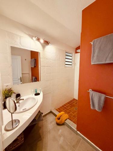 a bathroom with a sink and a shower at Orient bay Ti COCON au calme avec citerne in Orient Bay