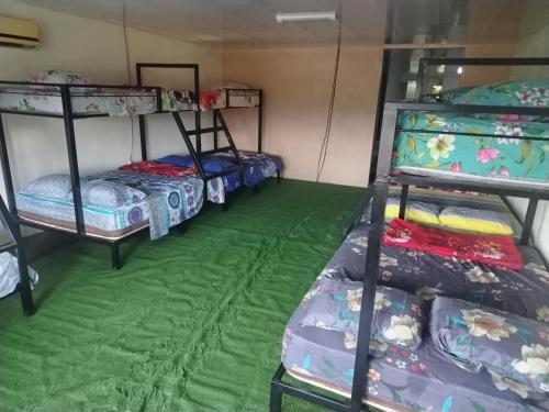 奎波斯城Hostel La Bambú的房间里有三张双层床，铺着绿色地毯。