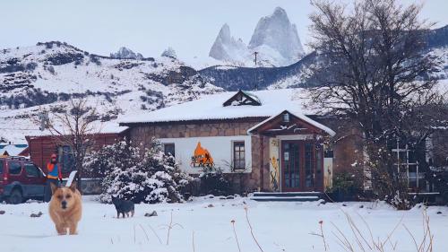 a dog standing in front of a house in the snow at Hostel del Lago, habitaciones privadas y cabañas in El Chalten