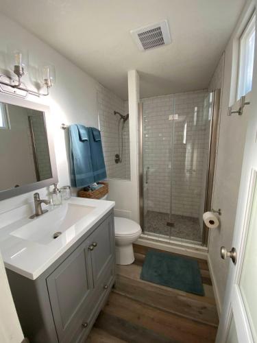 a bathroom with a sink and a toilet and a shower at Apartment in Ft Collins in Fort Collins
