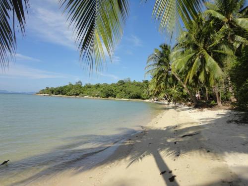 Naturlandschaft in der Nähe der Villa