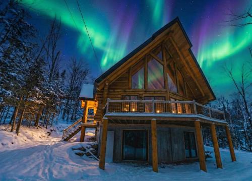 The ANIMAL - PARTY TIME - POOL SPA AND MOUNTAIN om vinteren