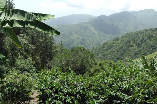 Un paisaje natural cerca de la casa de huéspedes