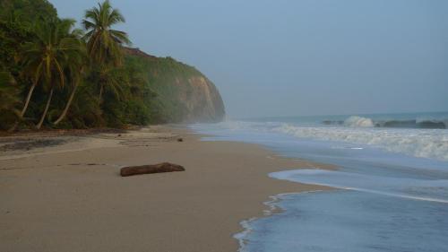 a beach with a rock on the sand and palm trees at Sublime Eco Hotel - Palomino Tayrona By GHO Hoteles in Palomino