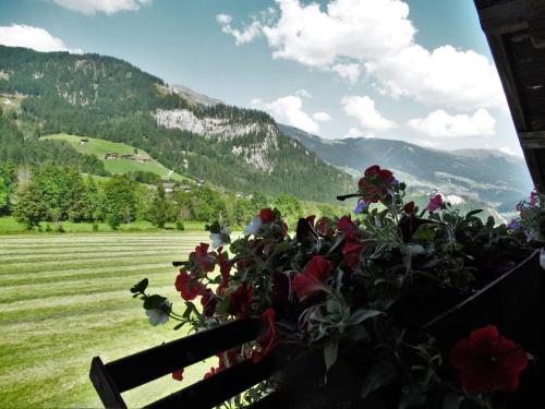 a bench with flowers and a view of a mountain at Gästehaus Posch in Krimml