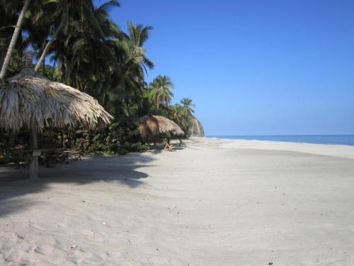 a beach with some straw umbrellas and the ocean at Sublime Eco Hotel - Palomino Tayrona By GHO Hoteles in Palomino