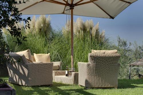 Κήπος έξω από το Agriturismo La Presura