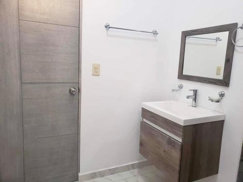 een badkamer met een wastafel en een spiegel en een douche bij Departamento Céntrico in Monterrey