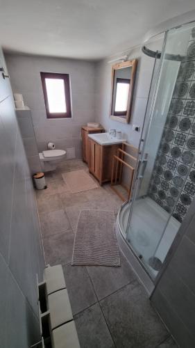 a bathroom with a shower and a toilet and a sink at Koronkowa Chatka w Beskidach in Istebna