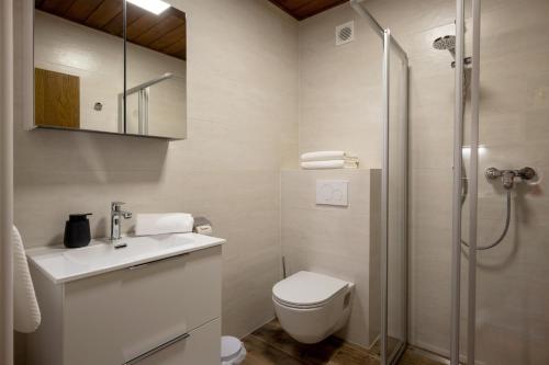 een badkamer met een toilet, een wastafel en een douche bij Haus St. Michael in Oberndorf in Tirol