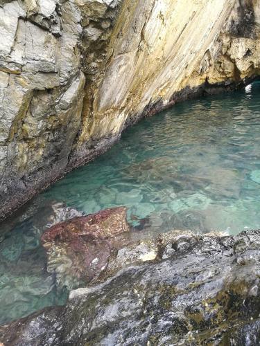 Un paisaje natural cerca de la casa vacacional