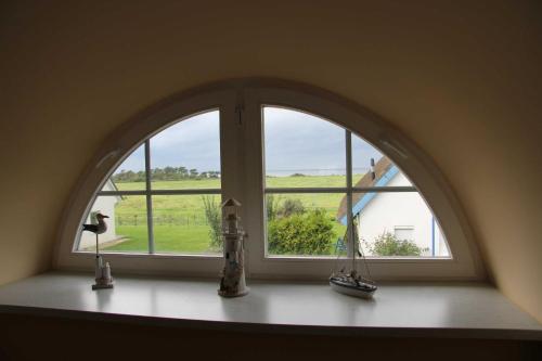 een gewelfd raam met uitzicht op een groen veld bij Ferienhaus Seeblick bei Dranske in Lancken