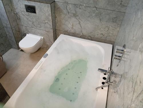 a bathroom with a bath tub with a toilet at Hotel Magnet in Indore