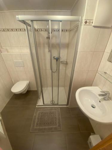 a bathroom with a shower and a sink and a toilet at Müllnerhof - Familie Maier in Haus im Ennstal