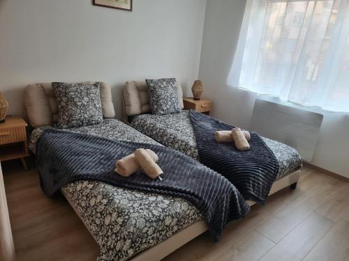 Appartement cosy Colmar centre avec parking