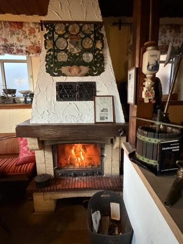 NeuleiningenにあるZum Burggrafの暖炉付きのリビングルーム