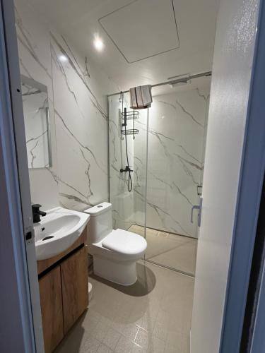 een badkamer met een toilet, een wastafel en een douche bij Glamping Geodome Horní Blatná in Horní Blatná