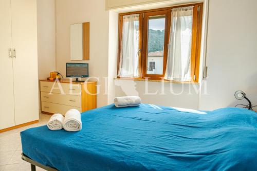 ein Schlafzimmer mit einem blauen Bett und einem Fenster in der Unterkunft Rudy in Campese