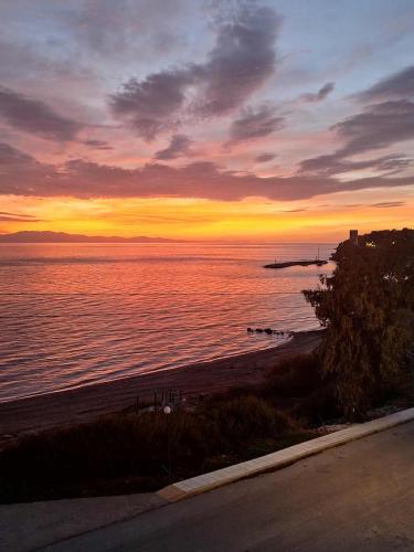 Lia Apartment Sea View