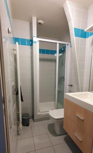 a bathroom with a shower and a toilet and a sink at Manoir Le Castel & Villa Beaumaris in Saint Malo