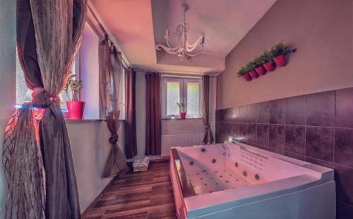 Afbeelding uit fotogalerij van Hotel Niemcza Wino & Spa in Niemcza