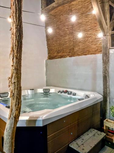 a jacuzzi tub in a room with a tree at Le Clos des Roses - Chambre d'hôtes in Pérouges