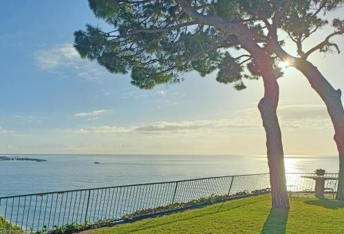 un arbre et un banc à côté de l'océan dans l'établissement Premium Habitat Les Villes, à Arenys de Mar