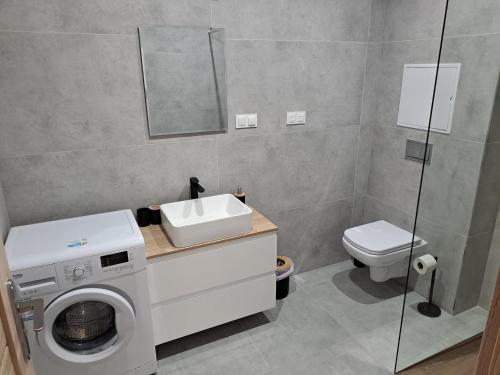 un bagno con lavandino e lavatrice di Apartmány Karpatia s historickým výkladom a Svidník