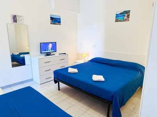 een slaapkamer met een blauw bed en een televisie bij Alberto in Campese