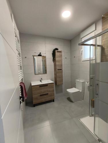 a bathroom with a toilet and a sink and a mirror at Alojamiento Rural El Lentisco in Puente Honda
