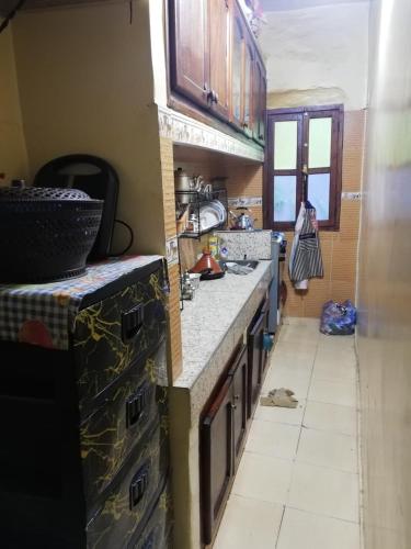 Kuchyň nebo kuchyňský kout v ubytování famile 154