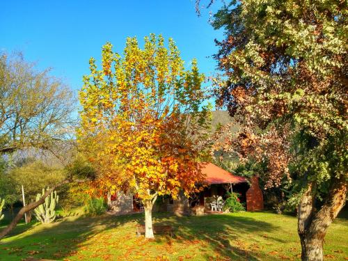 Κήπος έξω από το Cabañas Altos del Velazco