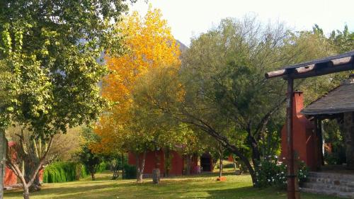 Κήπος έξω από το Cabañas Altos del Velazco