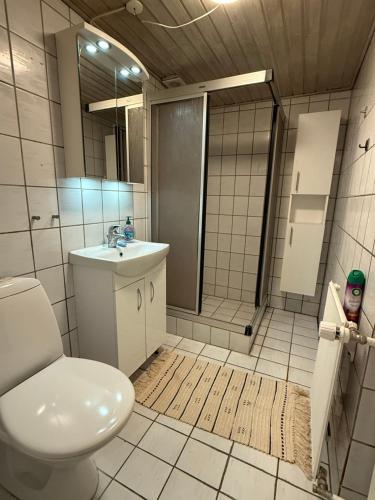 een badkamer met een toilet, een wastafel en een douche bij Hobro Living House in Hobro