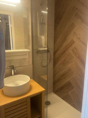 Studio au pied des pistes