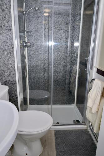 a bathroom with a shower with a toilet and a sink at Lodge Cabin with Fabulous Views 2 - Farm Stay in Portpatrick