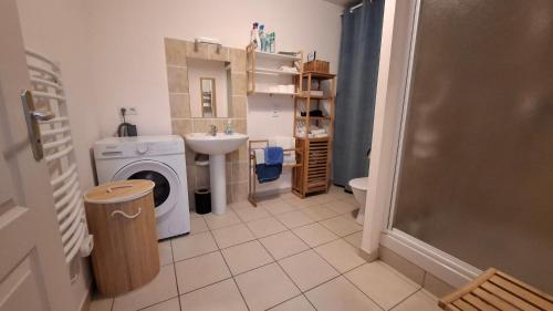 ein Badezimmer mit Waschmaschine und Waschbecken in der Unterkunft Apppartement 2 pièces centre-ville in Chauffailles