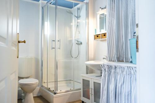 a bathroom with a shower and a toilet and a sink at Häuschen am Meer in Sierksdorf