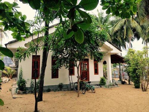 En have udenfor Bay Lagoon Hostel