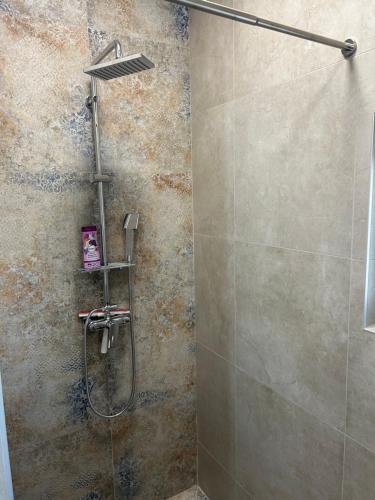 a shower with a glass door in a bathroom at Apartmani Bjelovar in Bjelovar