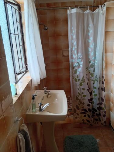 a bathroom with a sink and a shower curtain at Kliplelie Selfsorg in Tulbagh